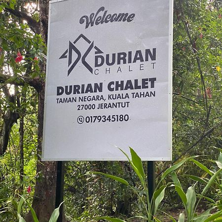 Durian Chalet Kuala Tahan Exterior foto