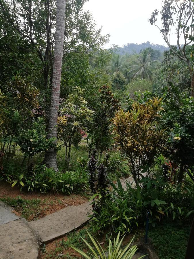 Durian Chalet Kuala Tahan Exterior foto