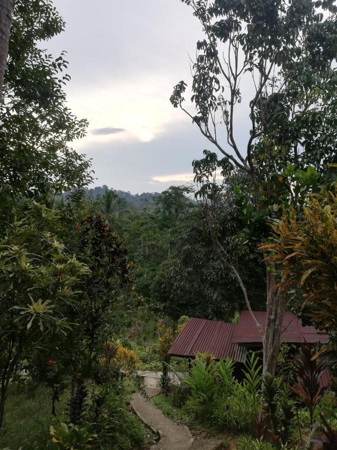 Durian Chalet Kuala Tahan Exterior foto