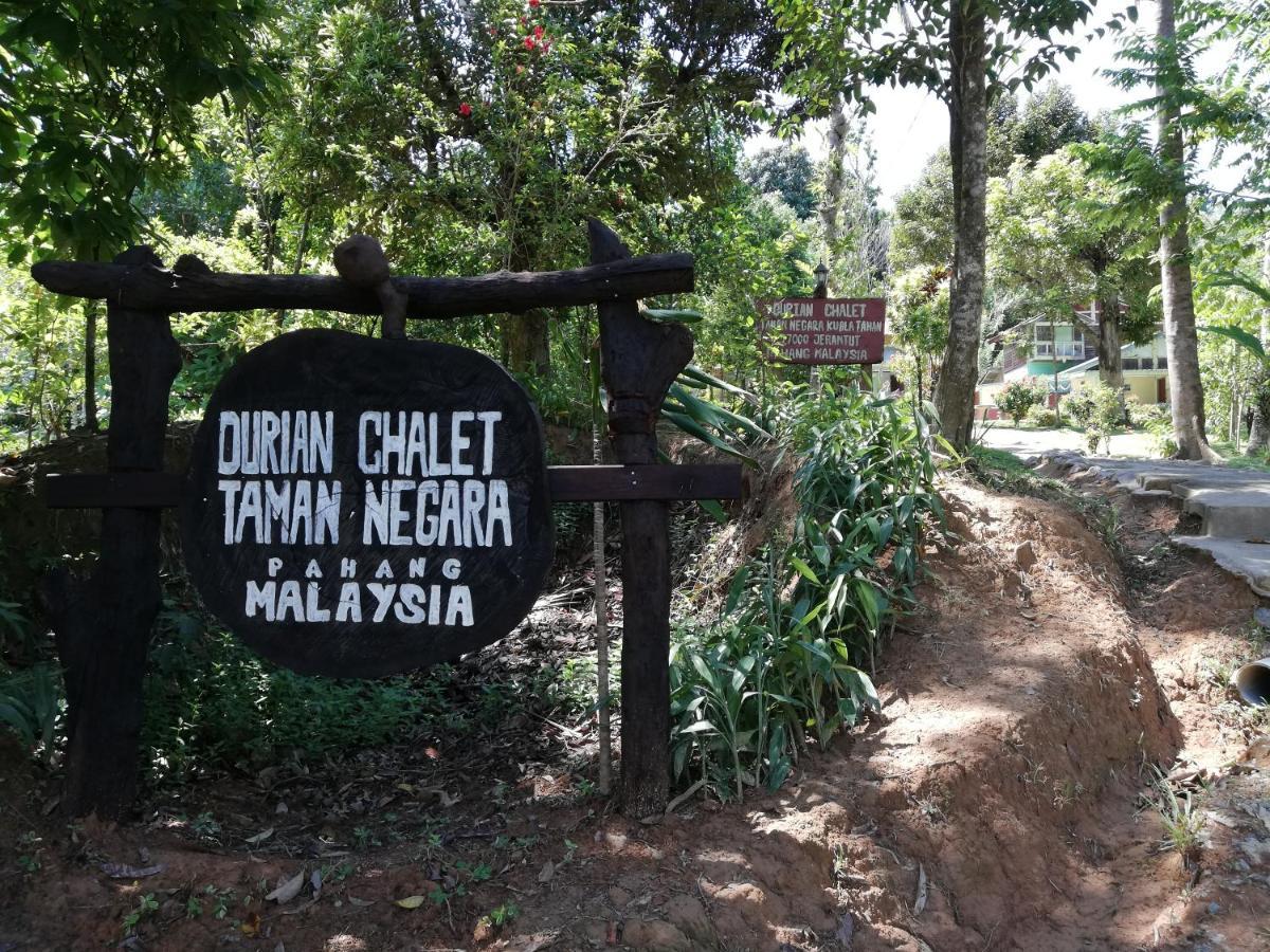 Durian Chalet Kuala Tahan Exterior foto