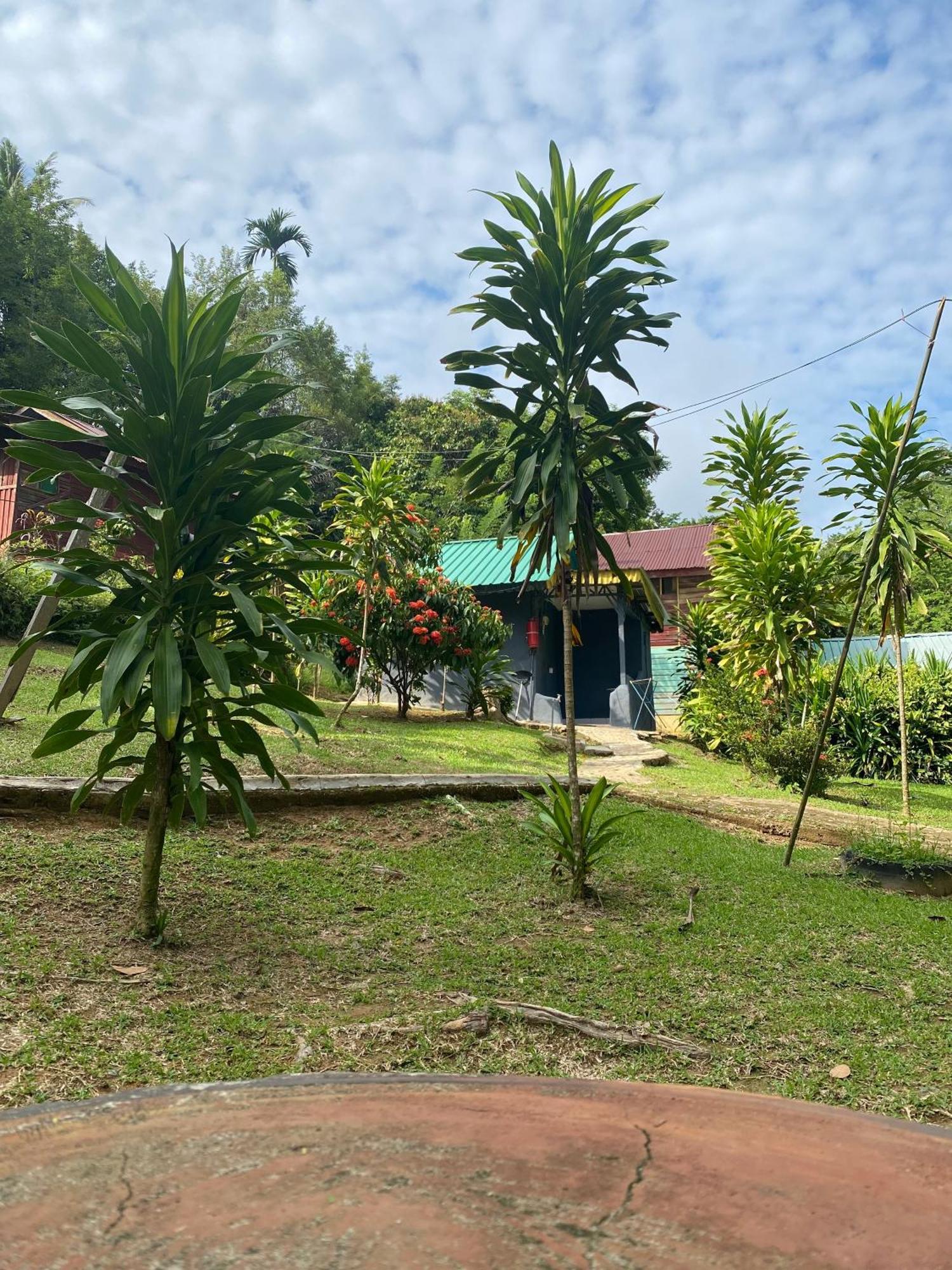 Durian Chalet Kuala Tahan Exterior foto